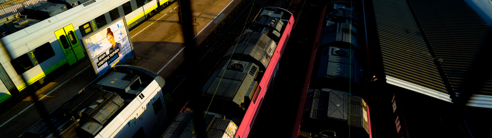 Against forbidden Trophies - ID 007444