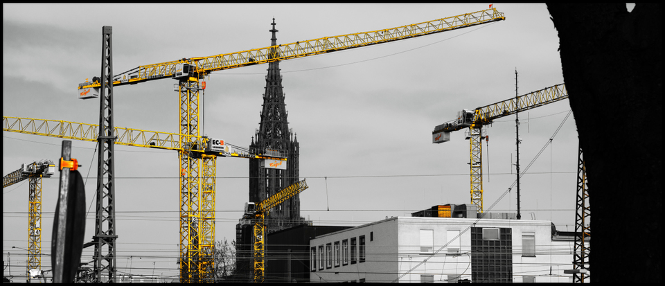 Yellow Cranes Grey Minster I - ID 007446