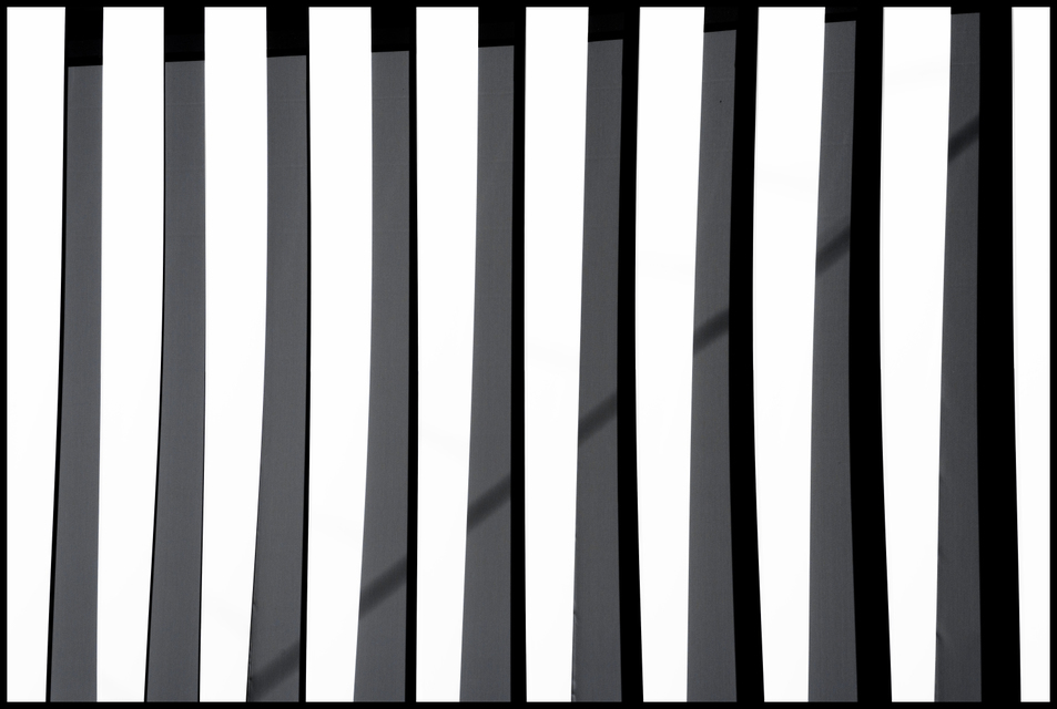 Shades VI - ID 007460