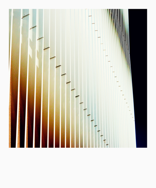 Shades IX - ID 007463