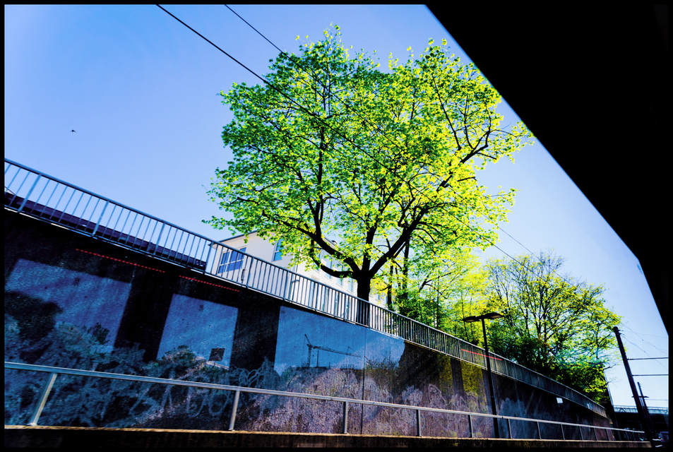 Green Above Mirrored View - ID 007483