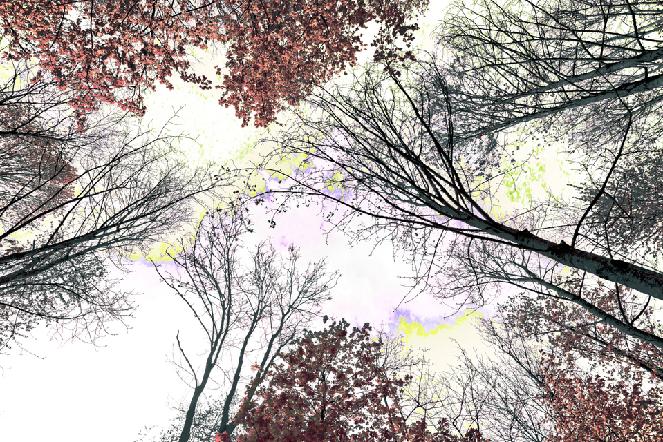 Rest of Winter I - ID 007491