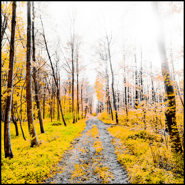 Rest of Winter II - ID 007492