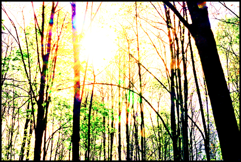 Spring Is Coming II - ID 007495