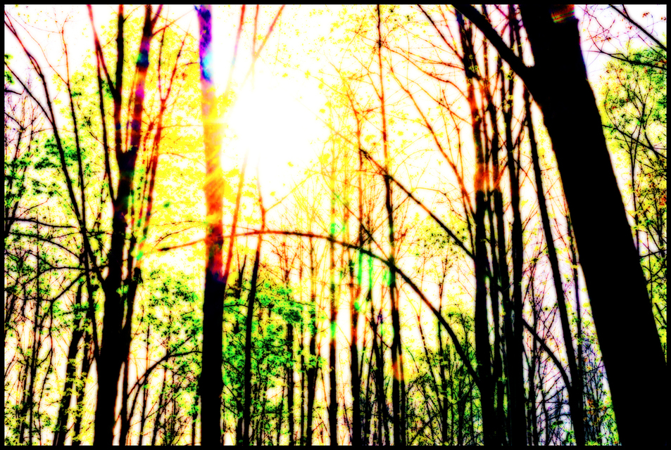 Spring Is Coming II - ID 007496