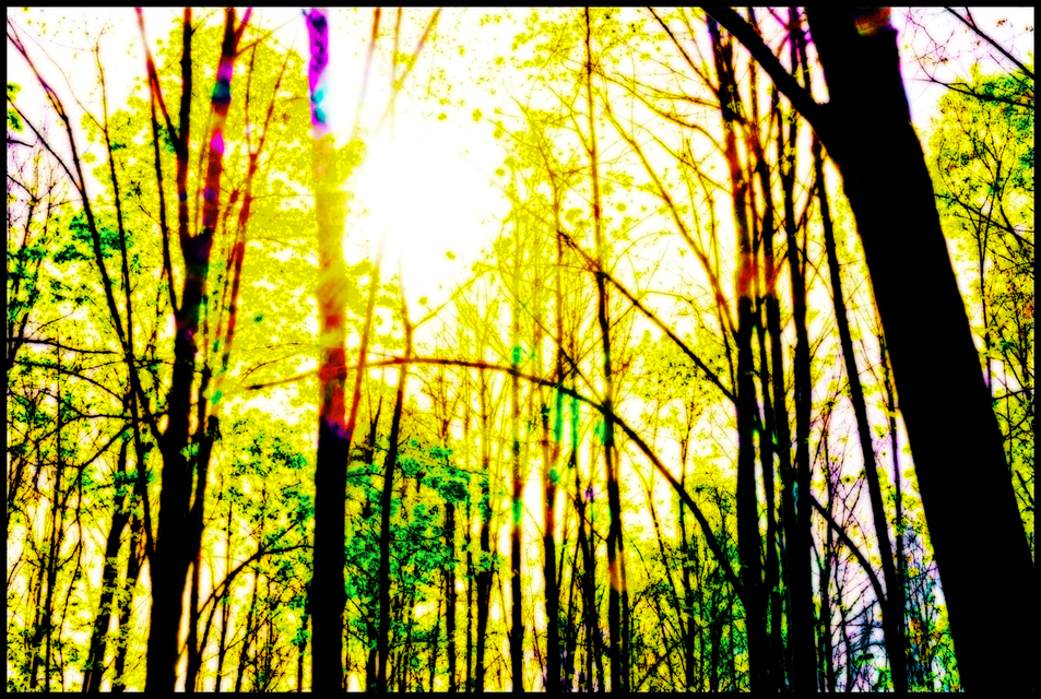 Spring Is Coming III - ID 007497