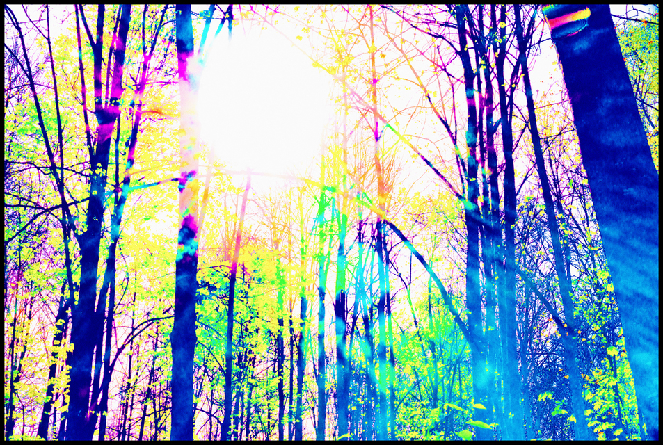 Spring Is Coming IV - ID 007498