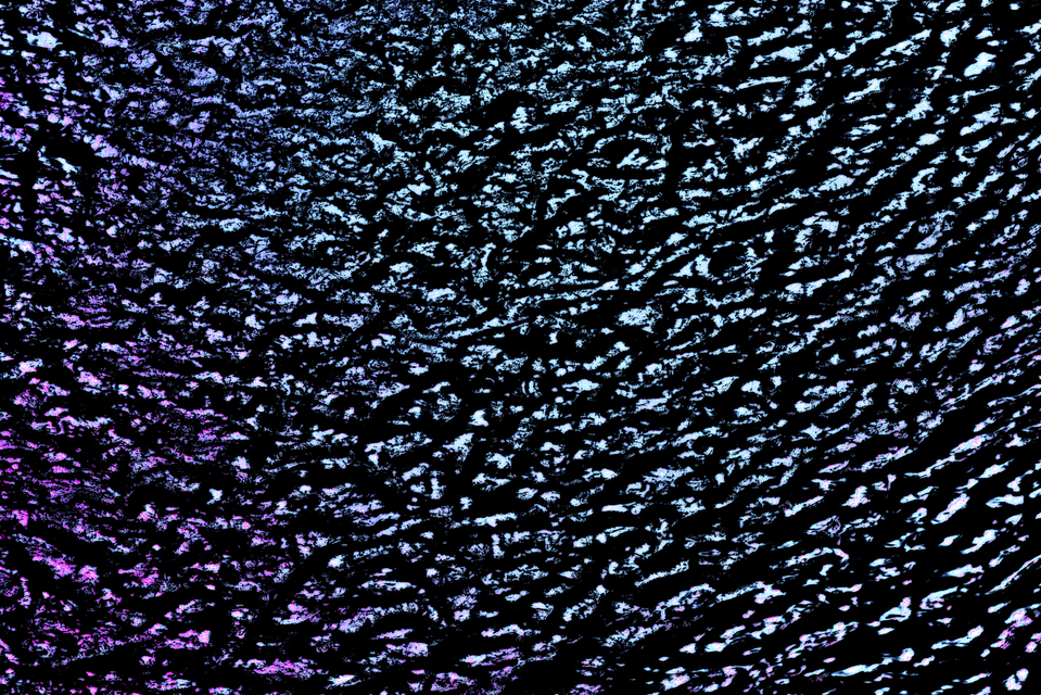 Spring Water VIII - ID 007506