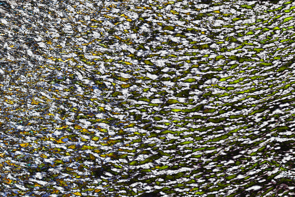 Spring Water X - ID 007508