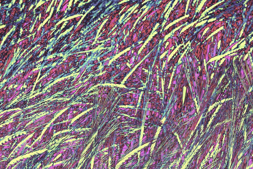 Colored Wheat I - ID 007551