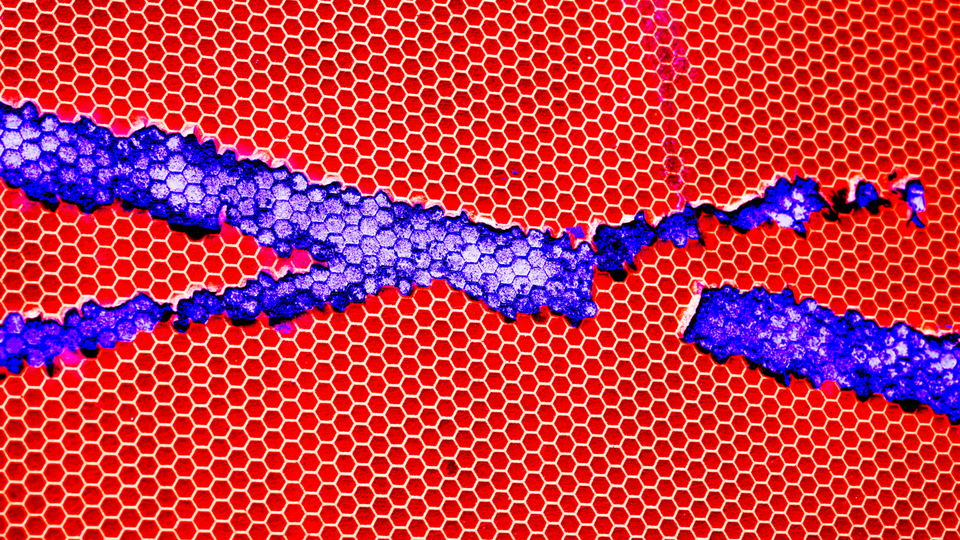 Damaged I - ID 007568