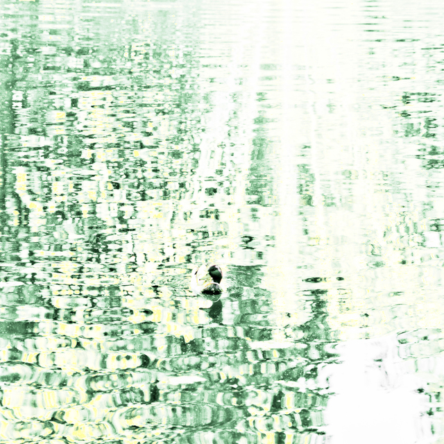 Hide and Seek on Lake - ID 007593