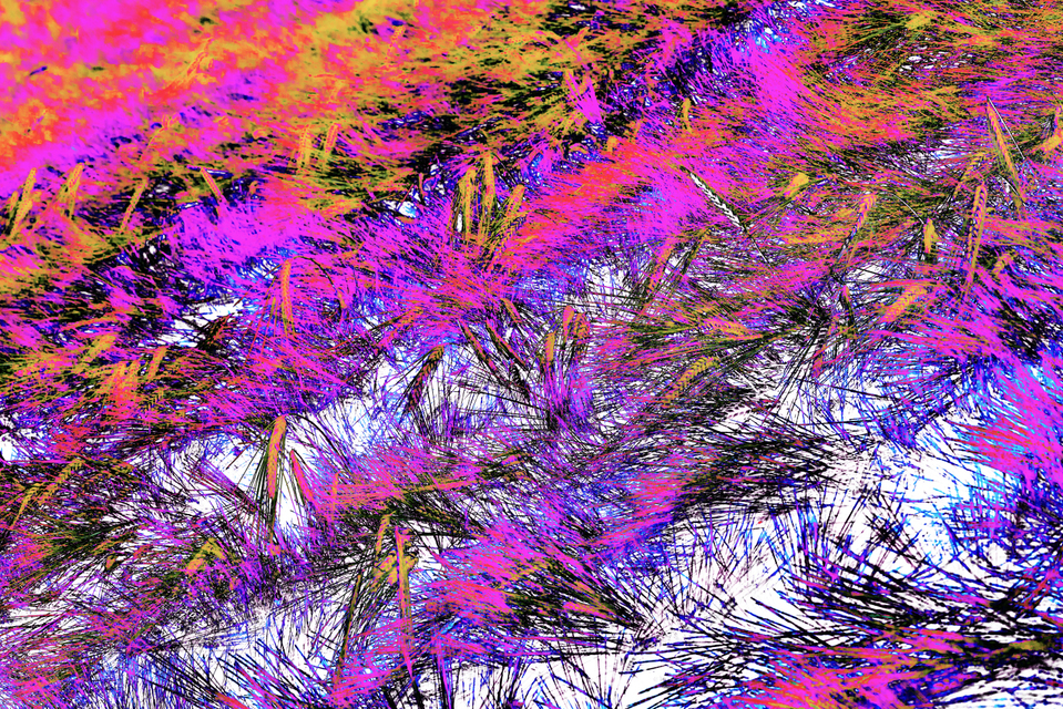 Rye XCVIII - ID 007740