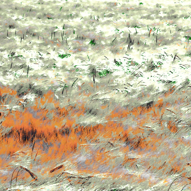 Rye CXXVIII - ID 007770