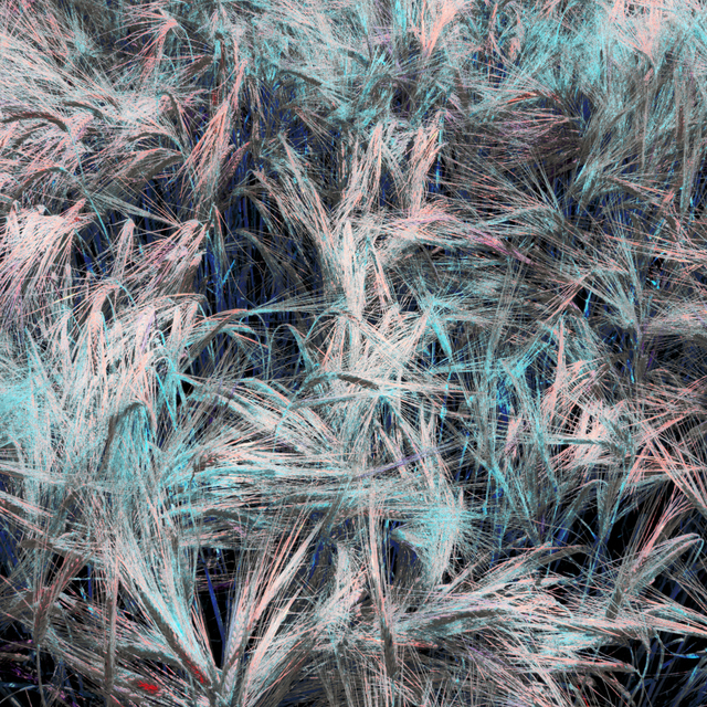 Rye CLIX - ID 007815