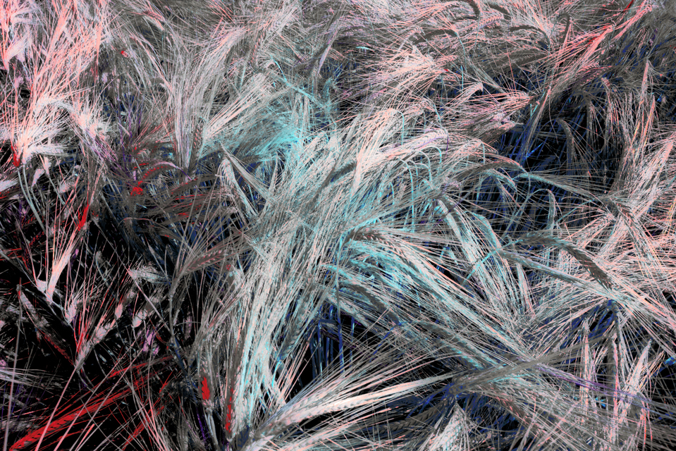 Rye CLXXX - ID 007836