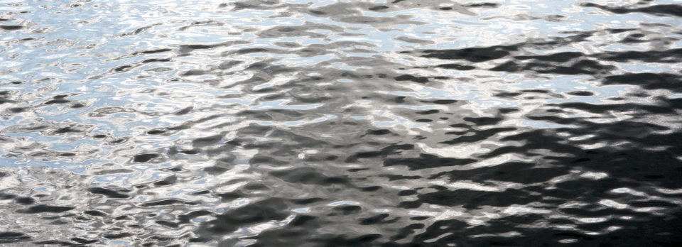 Water Surface XXV - ID 007881