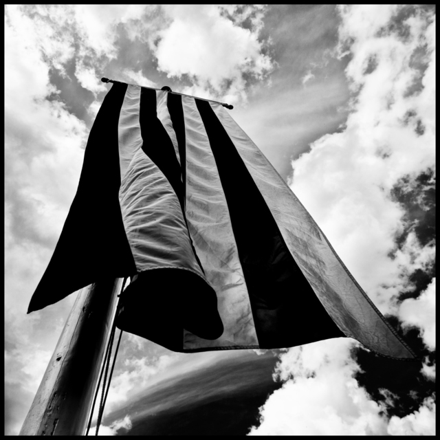 Ulm Colored Flag I - ID 007900