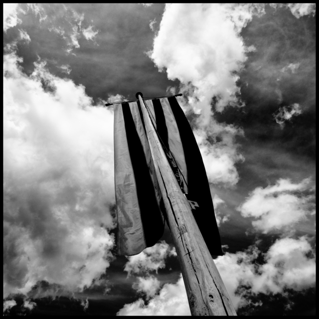 Ulm Colored Flag VI - ID 007905