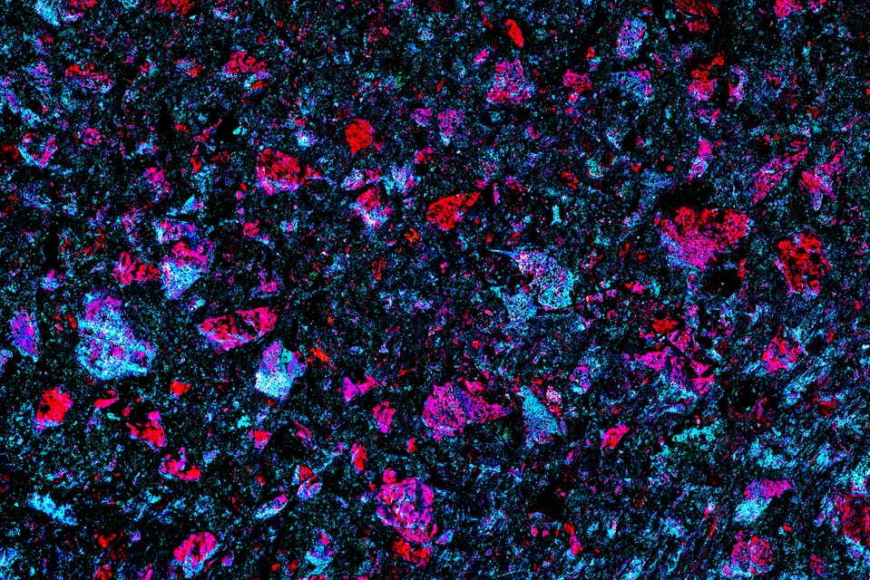 Tar Colored II - ID 007962