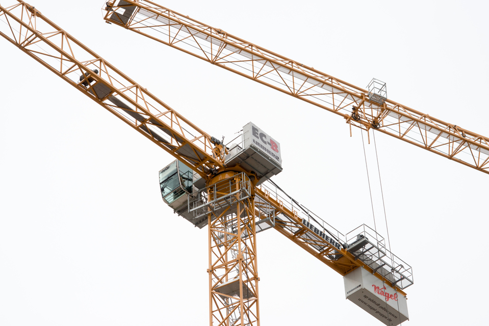 Two Cranes - ID 008085