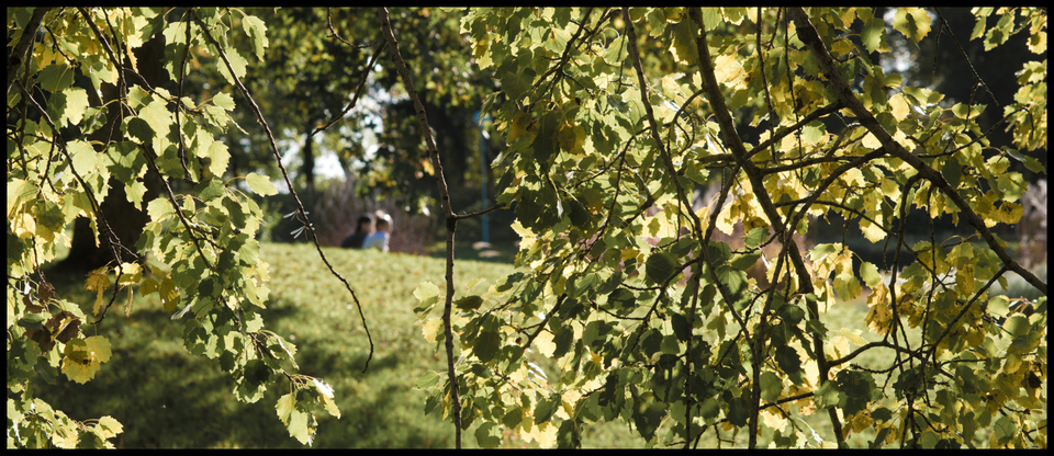 Autumn Couple I - ID 008108