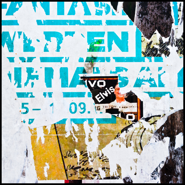 VO Elvis - ID 008161