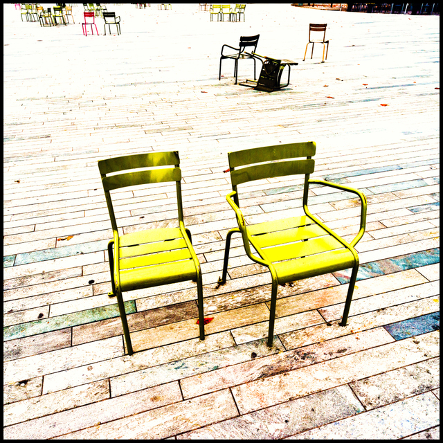 Two Times Yellow and Others - ID 008165