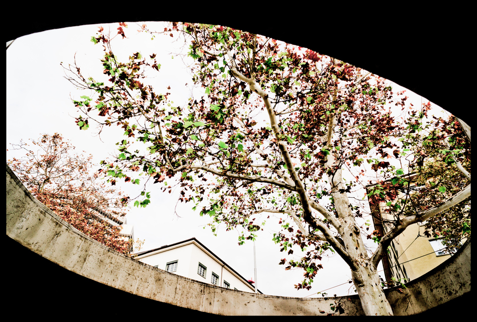 Zurich Hole View - ID 008174