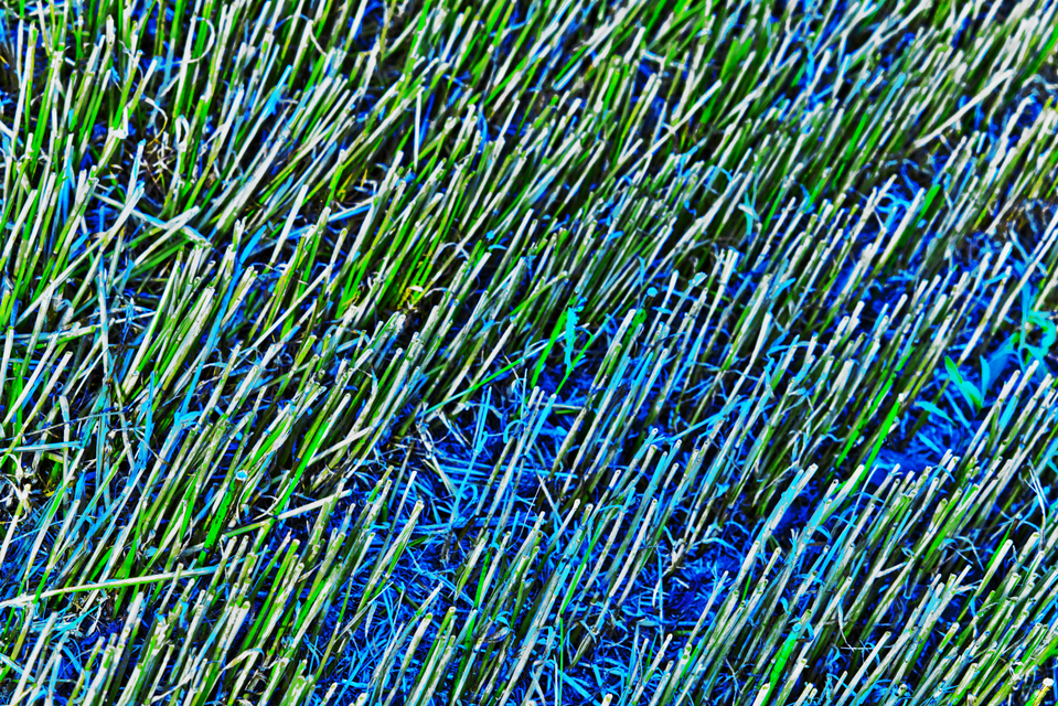 Blued II - ID 008200