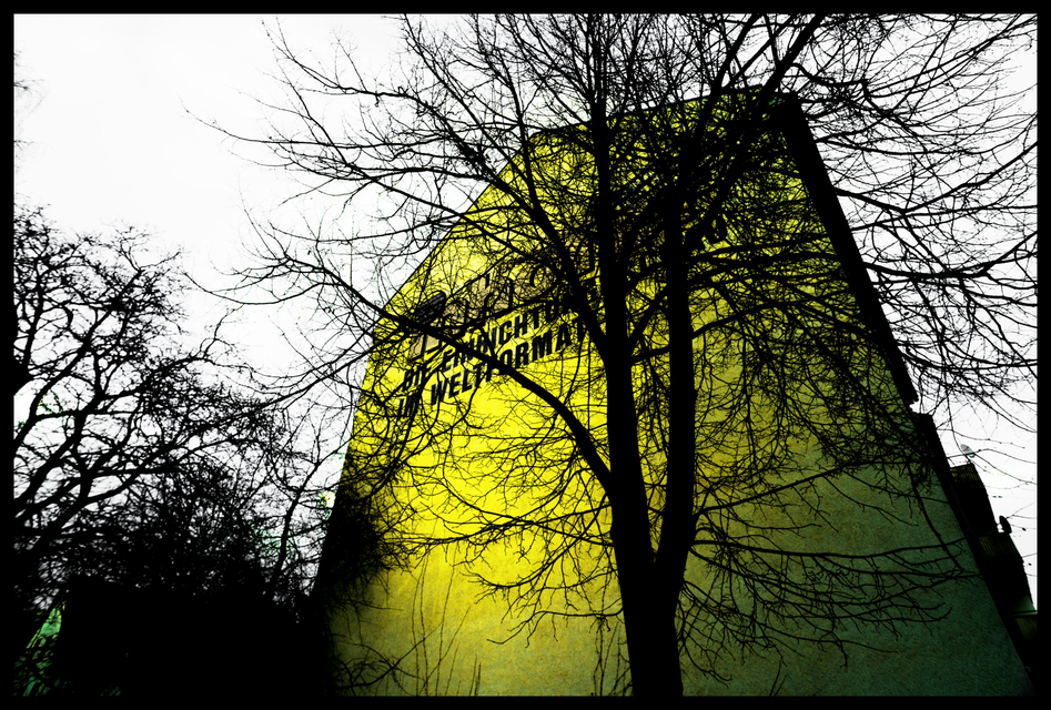 Yellowed Tree and Wall - ID 008237