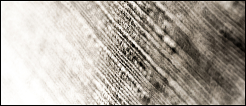 Surface III - ID 008248