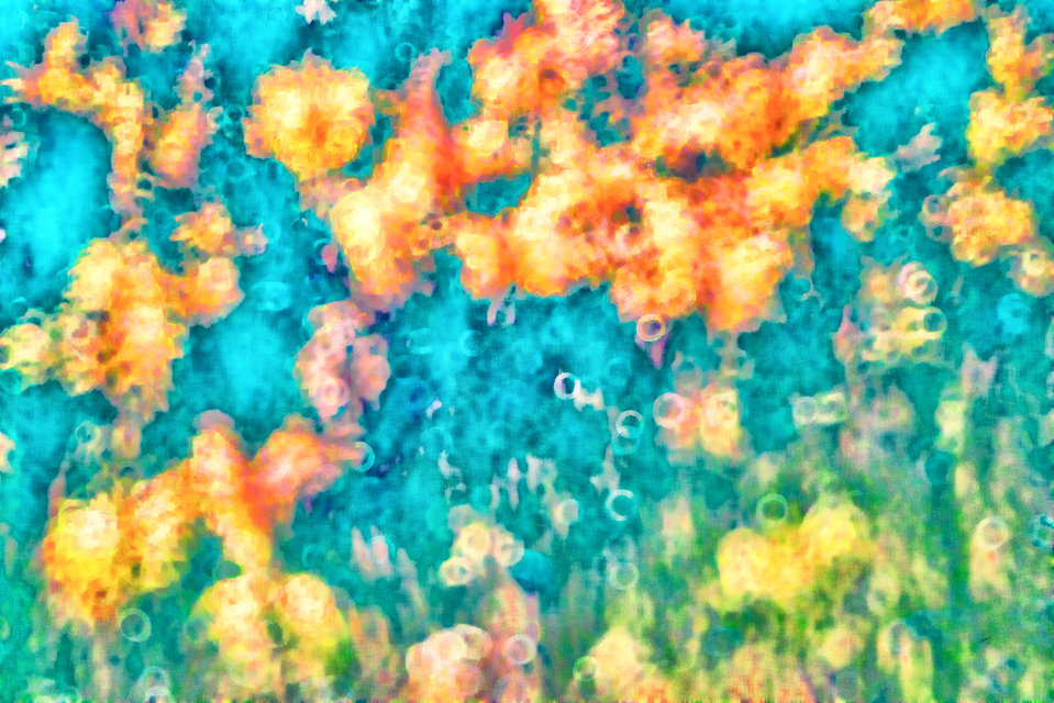 Ring Cloud II - ID 008252