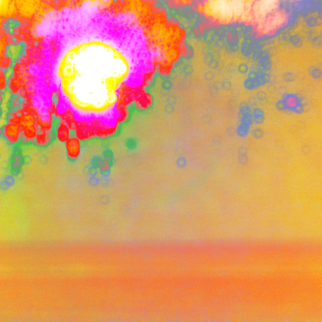 Sunset seen through Trees II - ID 008313