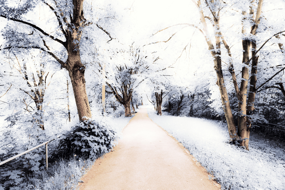 Glacis Wall Path III - ID 008330