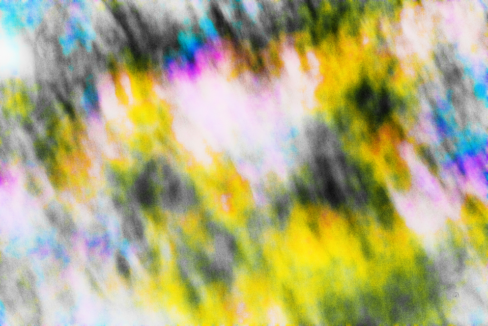 Brush Field II - ID 008481