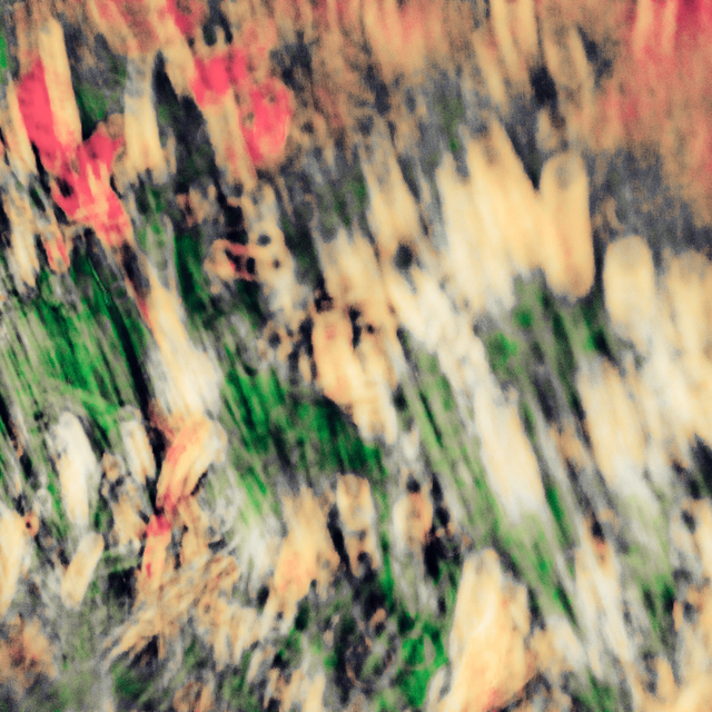 Ring Field I - ID 008482