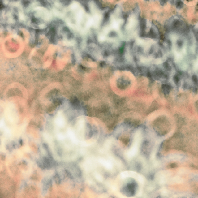 Ring Field II - ID 008483