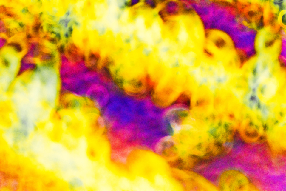 Ring Field V - ID 008486