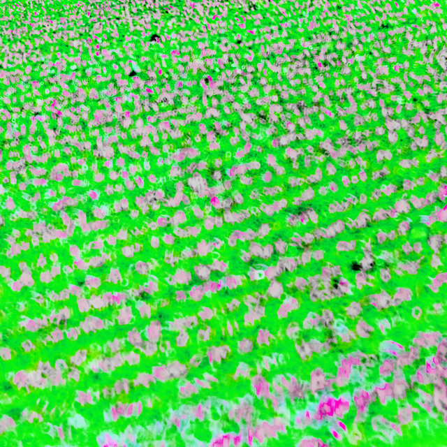 Green Field - ID 008494