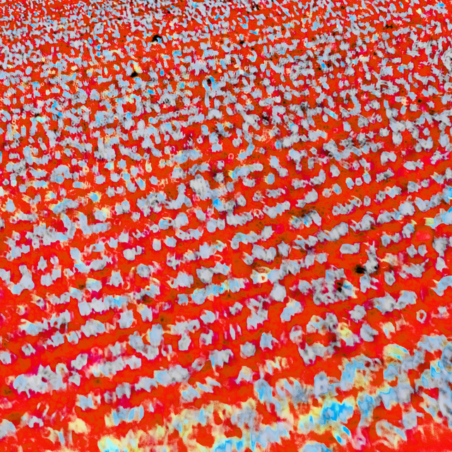 Red Field - ID 008497