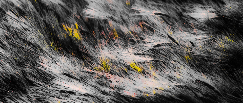 Dark Brush Field - ID 008528