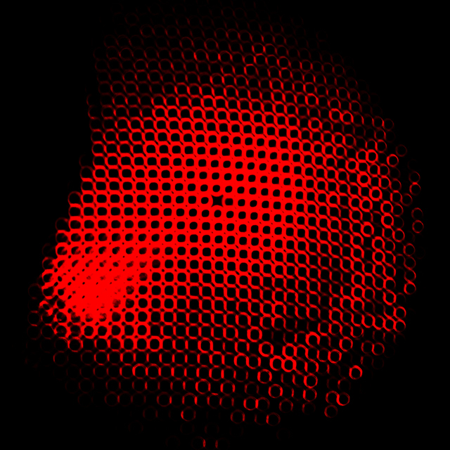 Red Lights On - ID 008542