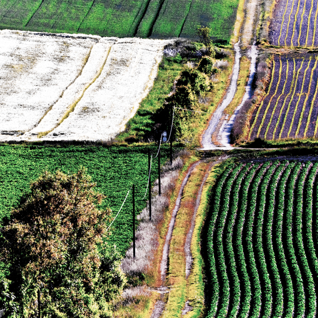 Country Crossing - ID 008561