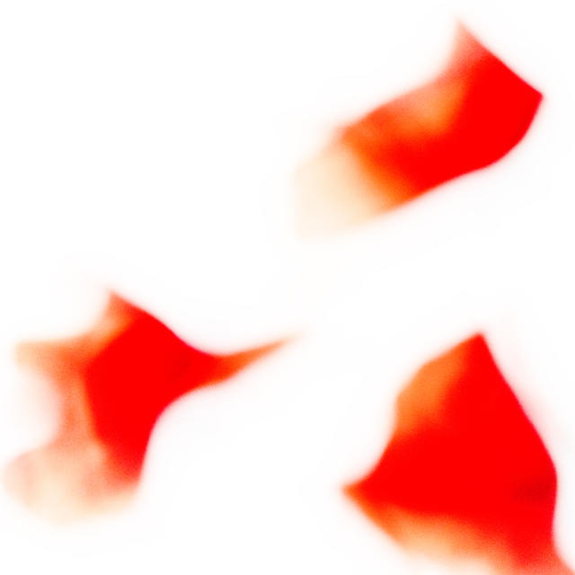 Red Poppy XIX - ID 008615