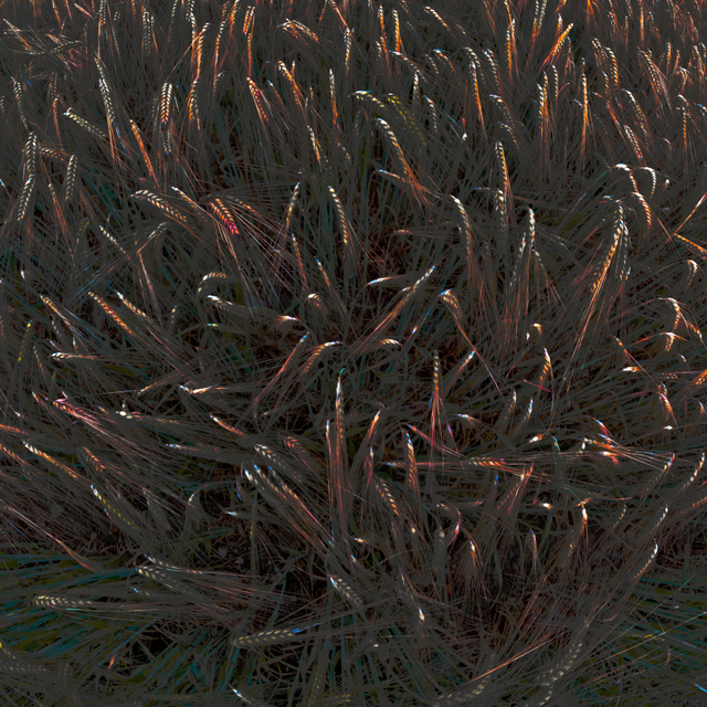 Corn Swarm - ID 008641