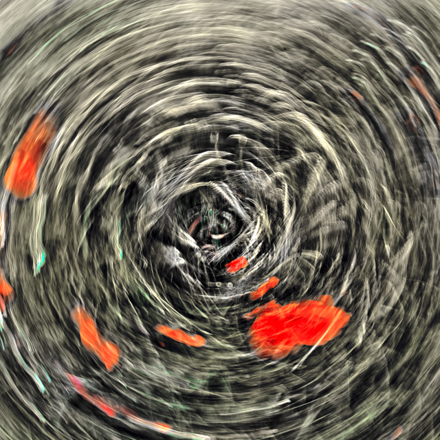 Corn Poppy Swirl - ID 008642