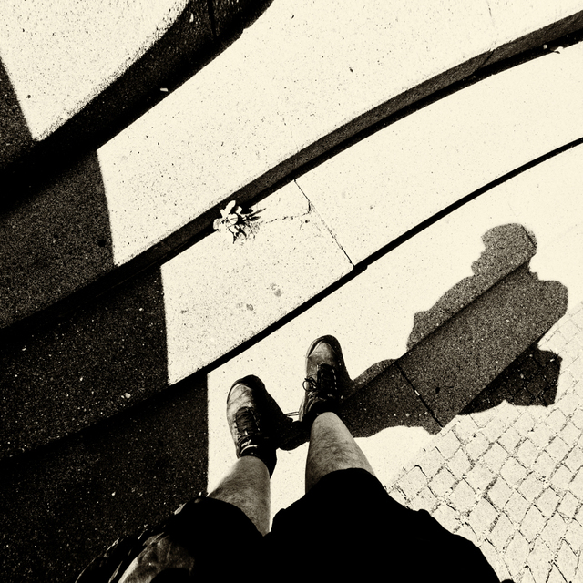 Self Shadow - ID 008648