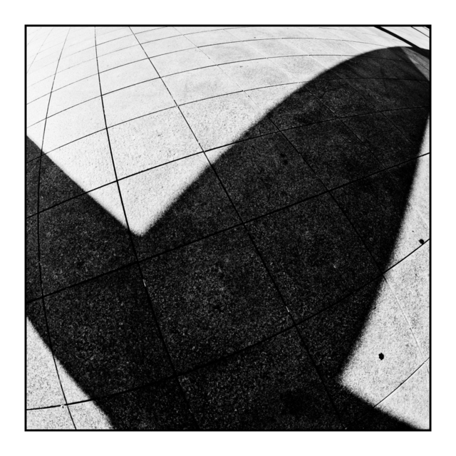 Curved Shadow II - ID 008661