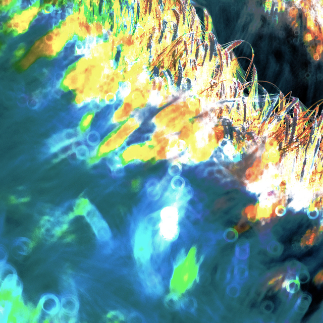 Wheat Wave II - ID 008689